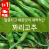 【1+1】령이네반찬 동북꽈리고추100g 商品缩略图0