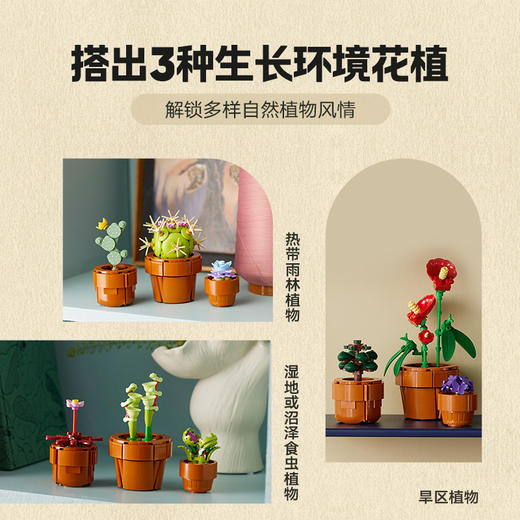 乐高LEGO 迷你盆栽LEGC10329 商品图4