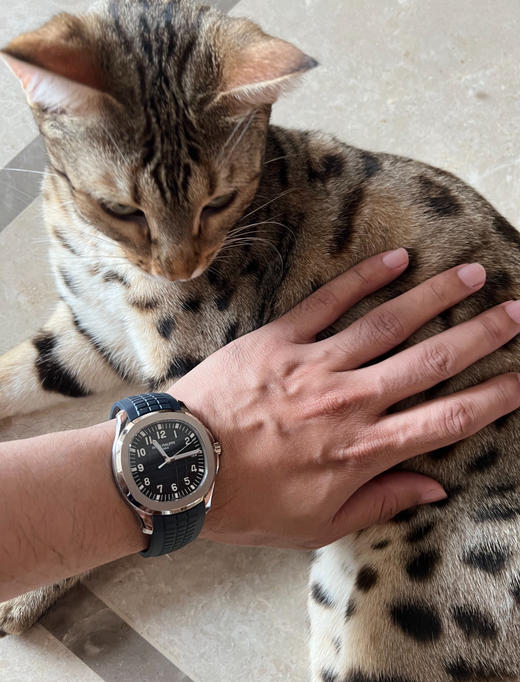 【百达翡丽运动优雅NAUTILUS系列】 鹦鹉螺 自动机械机芯 动力储备 男表 瑞表 40mm 蓝色表盘（SP） 商品图4