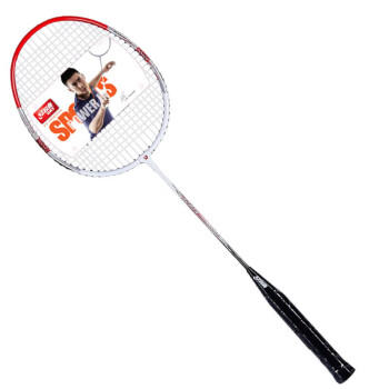 红双喜（DHS）DHS羽毛球拍对拍家庭娱乐训练铝合金羽拍1500含尼龙羽毛球 商品图4