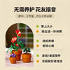 乐高LEGO 迷你盆栽LEGC10329 商品缩略图1