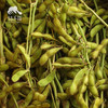 生态毛豆（发黄6折促销，只发广东省内）| 合作生产*Ecological edamame |Coprodution 商品缩略图3