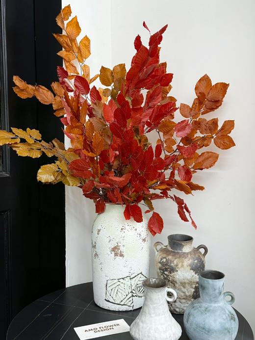 荷兰花材-【Faggio毛榉叶】永生 商品图1