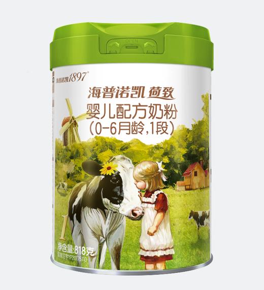 海普诺凯荷致翡翠婴儿配方奶粉（0-6月龄，1段）818g 商品图0