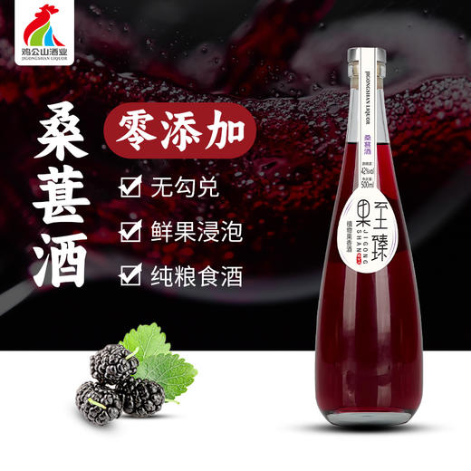 鸡公山白酒果至臻桑葚酒果酒28度/42度一提500ml*2瓶 商品图1