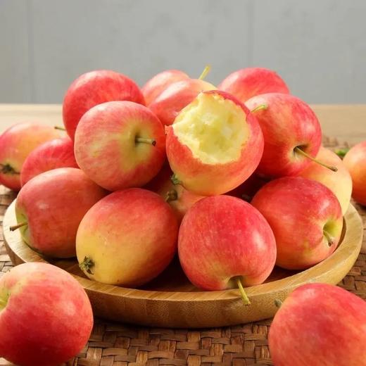 新疆海棠香槟果约2斤/提 |水果 商品图1