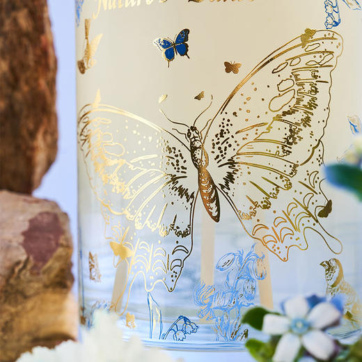 大英博物馆 博物志系列 蝴蝶无火 香薰大容量香氛礼盒 乌木玫瑰 商品图2