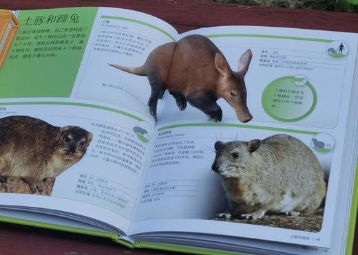 《DK儿童迷你百科全书》,精装，12册，口袋本40开，英国DK公司编著，中国大百科全书出版社2017年一版，印次不详，定价458，售价128元。 商品图9