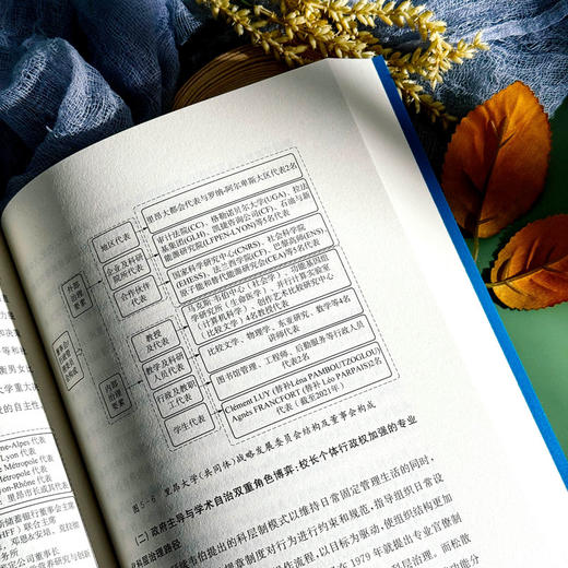 法国一流大学的国际化战略逻辑与实施路径 以法国高师集团为例 商品图4