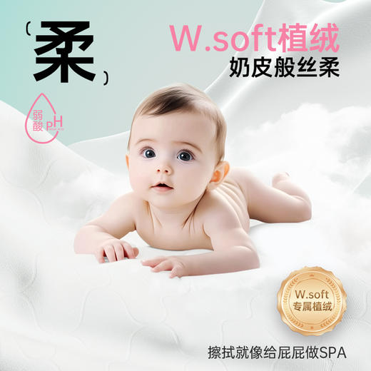 【秒杀专享】无染草本湿厕纸80抽6包 商品图2