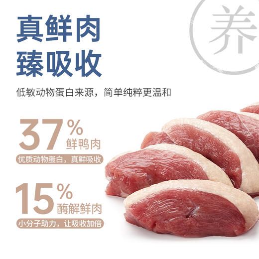 【囤货装】伯纳天纯焕新舒纯鲜肉生骨肉冻干双拼狗粮鸭肉梨泪痕管理2kg*4 商品图3