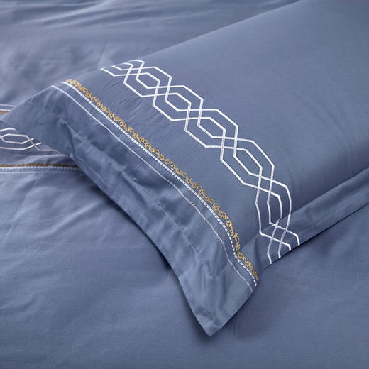 【高档】富安娜床品素绣60支长绒棉高档四件套 柏林之约  XHR 商品图4