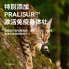 帕特 【烘焙系列】猫粮 1.8kg/5kg/袋 商品缩略图2