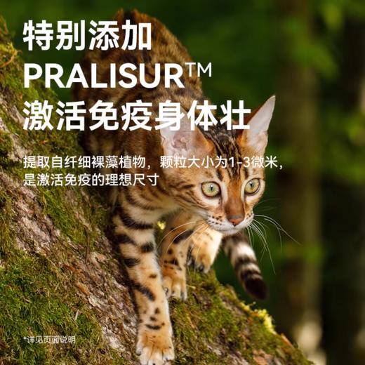 帕特 【烘焙系列】猫粮 1.8kg/5kg/袋 商品图2