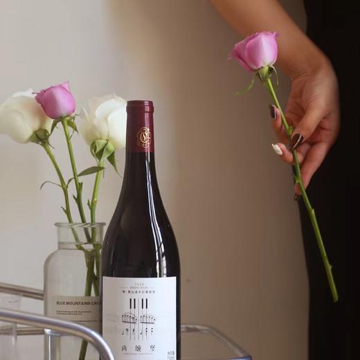 宁夏尚颂堡黑皮诺干红葡萄酒750ml 商品图3