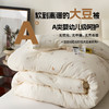【豆豆绒提花印花大豆被】大豆纤维被印花提花大豆a类冬被被子加厚春秋被柔软 商品缩略图0