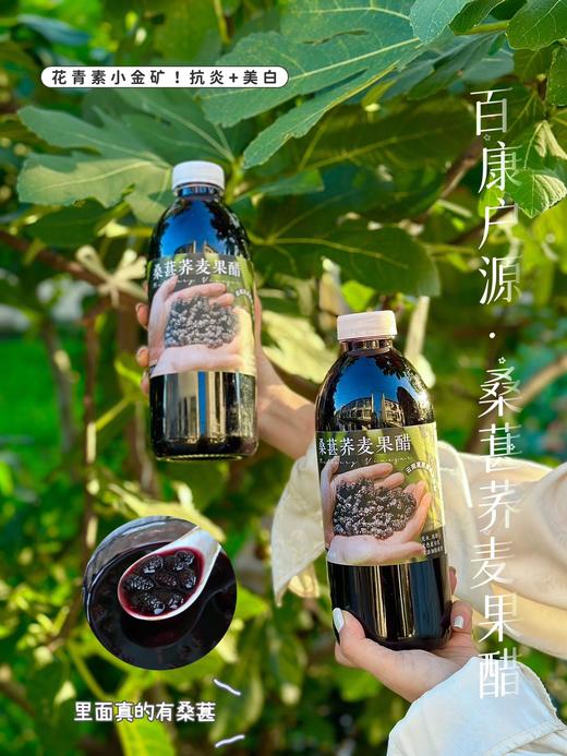 以醋养人桑葚荞麦果醋礼盒装 商品图3