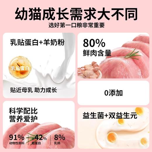 【双12大促】whycat幼猫粮全价无谷冻干 商品图3
