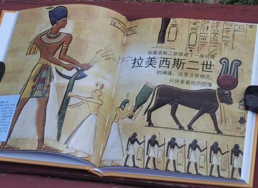 《DK儿童迷你百科全书》,精装，12册，口袋本40开，英国DK公司编著，中国大百科全书出版社2017年一版，印次不详，定价458，售价128元。 商品图13