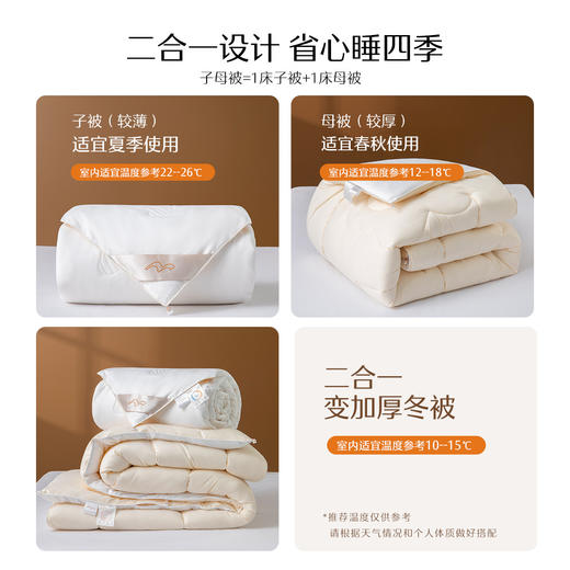水星家纺 澳洲进口羊毛蚕丝二合一被芯蚕丝大豆子母被四季被子蚕丝被羊毛被 商品图4