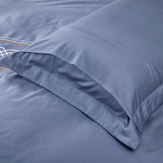 【高档】富安娜床品素绣60支长绒棉高档四件套 柏林之约  XHR 商品图3