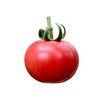 喀什红新疆水果番茄 西红柿 商品缩略图7