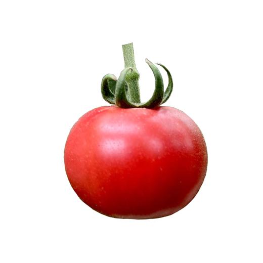 喀什红新疆水果番茄 西红柿 商品图7