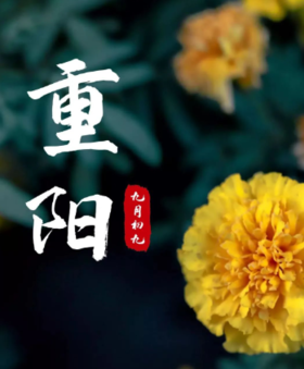 九九重阳节 | 恭贺“众星之母”斗姆元君圣诞！