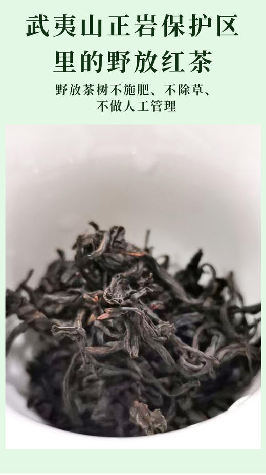 武夷野小种 12泡/60克 武夷山自然保护区内产品 野放茶树无人工管理 天然花香悠扬 商品图2
