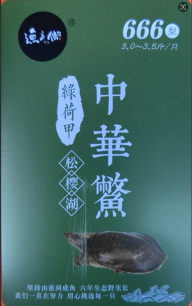 渔之傲中华鳖提货卡666元（3.0~3.5斤/只）