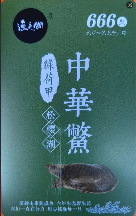 渔之傲中华鳖提货卡666元（3.0~3.5斤/只） 商品图0