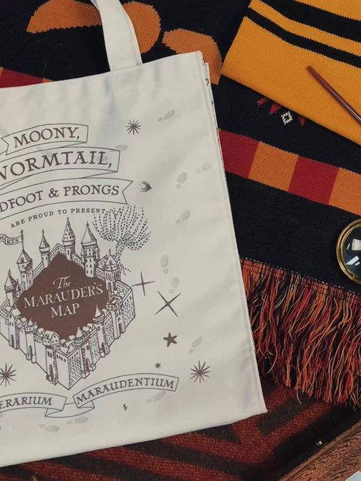 哈利波特系色帆布包 商品图2
