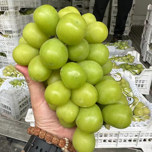 Sc爆款晴王 商品图0