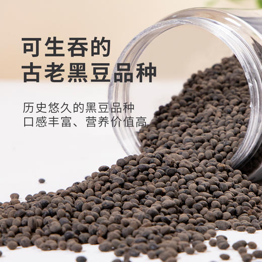 马料豆古老小黑豆老品种野料豆野生黑豆黄芯黑料豆即食肾形非种植 商品图1