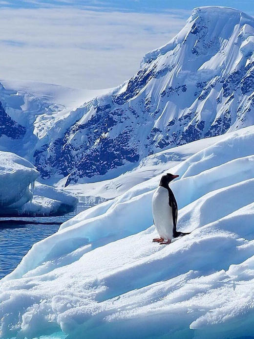 CEMOY 南极冰川黑面膜  提升水润度，淡化动态纹  紧致提升，提高肌肤弹性    面膜朝外的一侧封闭，精华不蒸发  朝内一侧精华只向肌肤渗透，不反吸水 商品图7