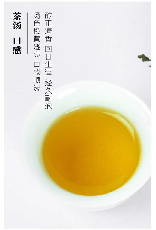 黑茶 | 高马山 2021年高马山 茶王 千两饼（花卷茶）520g 商品图5