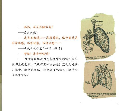 睡眠习惯养成系列-儿童情绪管理与性格培养（共2册）：《不再害怕独自睡觉：学会克服入睡恐惧》《妈妈，我睡不着：​让孩子爱上快乐呼吸法》 商品图8