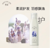Perfumelife香鉴薰衣草精油香氛洗发水580ml 商品缩略图0