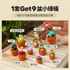 乐高LEGO 迷你盆栽LEGC10329 商品缩略图3