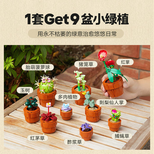 乐高LEGO 迷你盆栽LEGC10329 商品图3