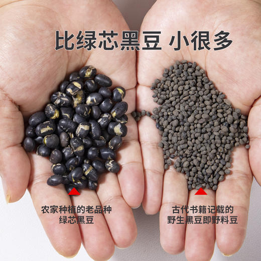 马料豆古老小黑豆老品种野料豆野生黑豆黄芯黑料豆即食肾形非种植 商品图3