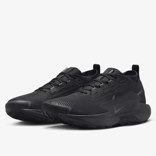 NIKE PEGASUS TRAIL 5 GTX 商品图0