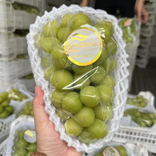 Sc爆款晴王 商品图3