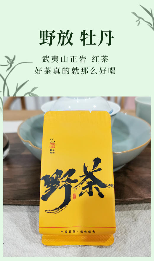 武夷野小种 12泡/60克 武夷山自然保护区内产品 野放茶树无人工管理 天然花香悠扬 商品图1