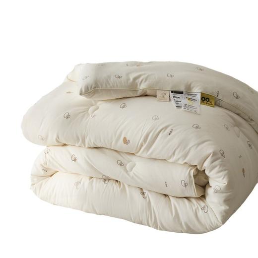 【豆豆绒提花印花大豆被】大豆纤维被印花提花大豆a类冬被被子加厚春秋被柔软 商品图4