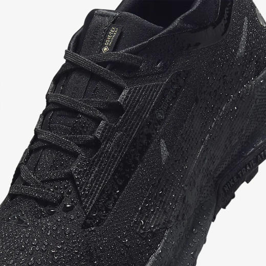 NIKE PEGASUS TRAIL 5 GTX 商品图7
