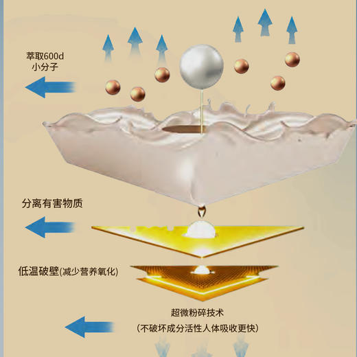 ² 【新加坡进口女性丸】血红素+叶酸+VB12+大豆异黄酮+藏红花等15种复合营养 每天2粒 60粒/瓶 HM02-CRMM-AQS 商品图3