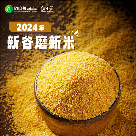 24年任小米新谷子新小米5斤装【沙漠节水小米500g*5】 商品图2