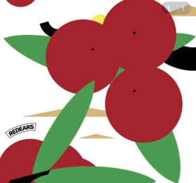 啤酒巴巴/赤耳 杨梅优格酸乳