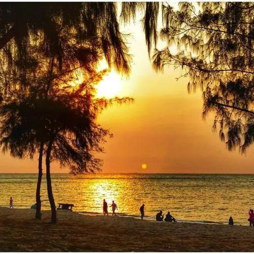 【乐东·8557号基地】海南乐东黄流佛老基地 商品图0